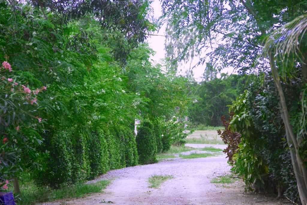Kp Mountain Beach Pran Buri Bagian luar foto